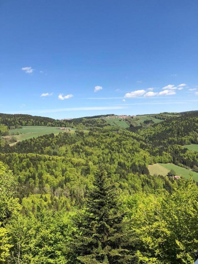 Bayerwald * Ringelai