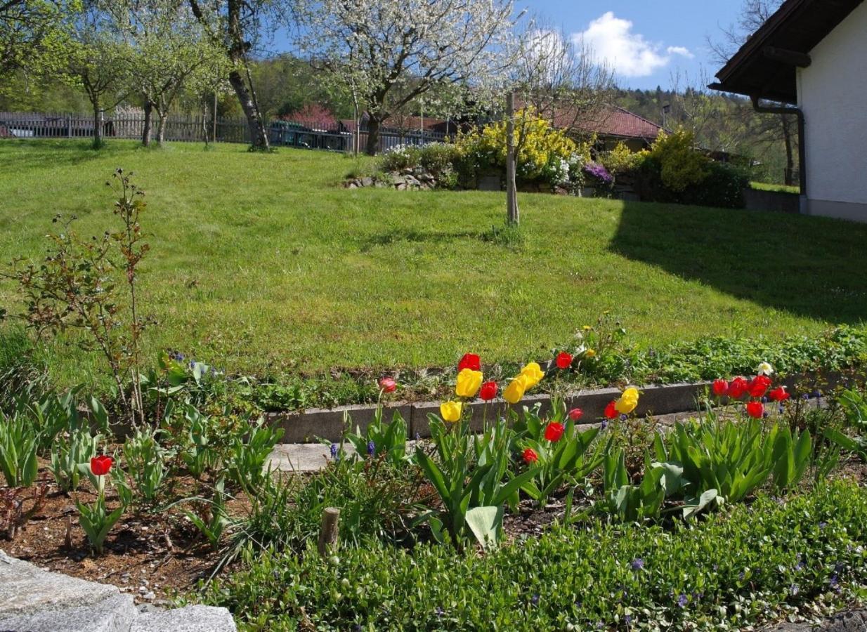Bayerwald Hébergement de vacances